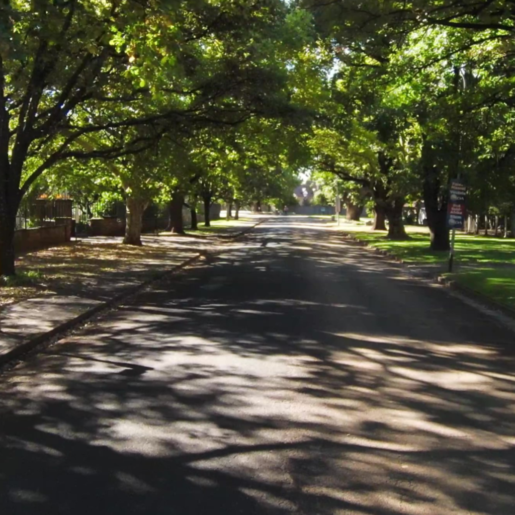 Benefits of our trees