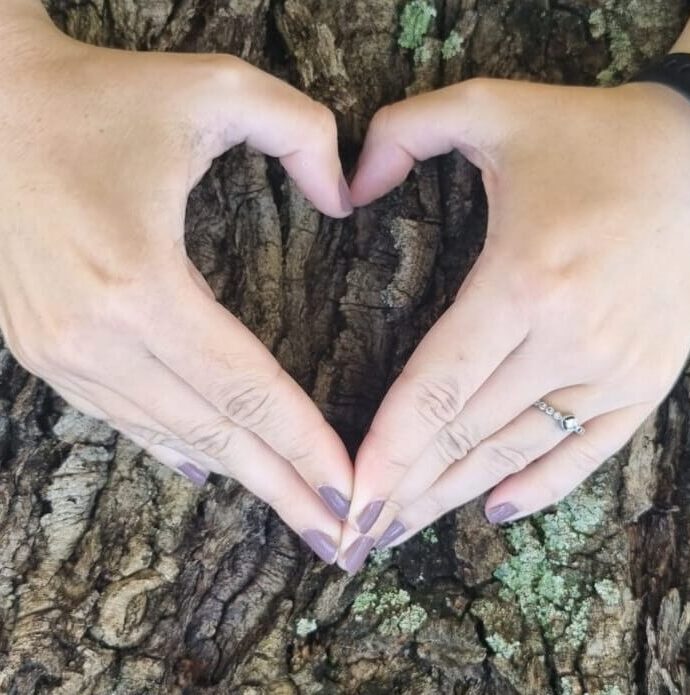 Caring for your oak